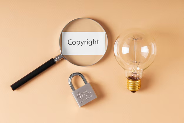 Trademark Copyright and Intellectual Property Rights Services